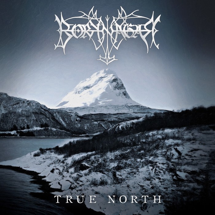 You are currently viewing Borknagar – True North