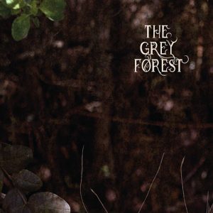 Read more about the article The Grey Forest – The Grey Forest