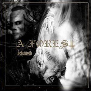 Read more about the article Behemoth – A Forest (EP)