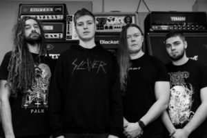Read more about the article BEYOND THE STRUCTURE released new single “Worms of Consumption”.